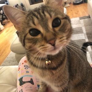 Meet your Posher, Roberta